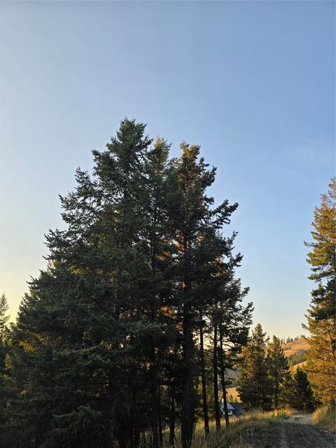 Tiny photo for 218 Walking Coyote Drive #LOT 68, Kalispell, MT 59901 (MLS # 30058202)