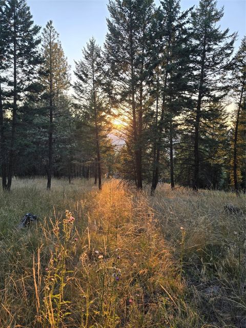 Tiny photo for 218 Walking Coyote Drive #LOT 68, Kalispell, MT 59901 (MLS # 30058202)
