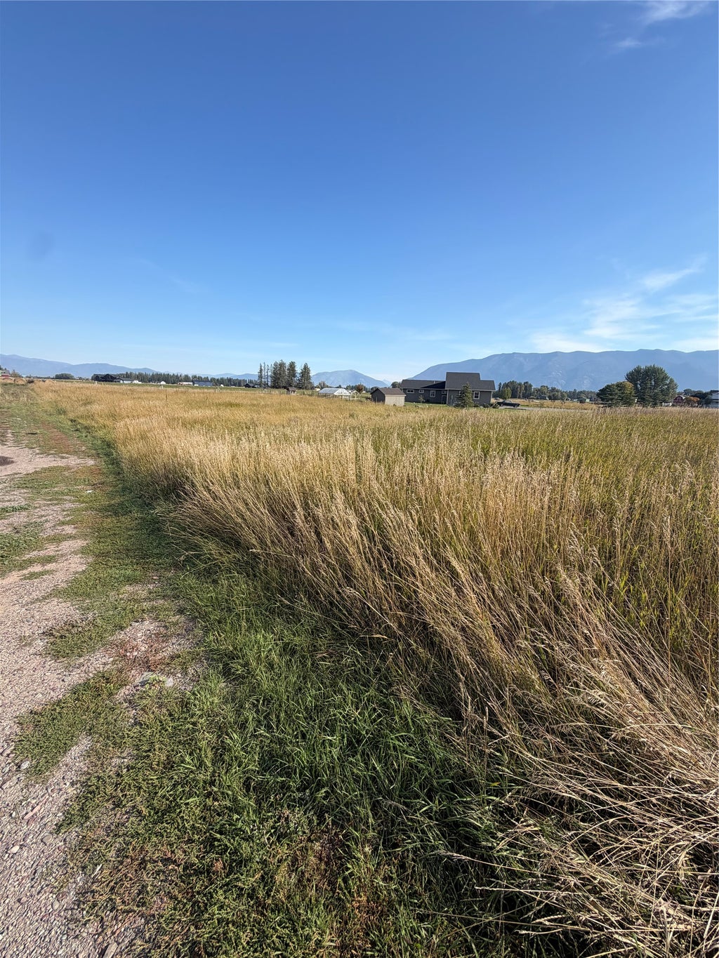 Photo of 119 Birch Grove Road, Kalispell, MT 59901 (MLS # 30079046)