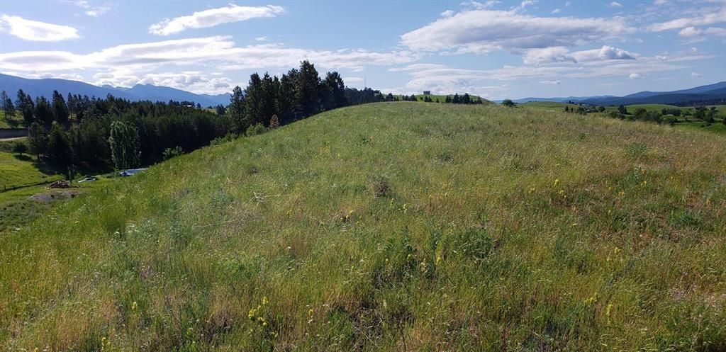Photo of 180 Grassy Loop, Eureka, MT 59917 (MLS # 30065072)