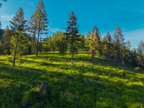 Tiny photo for Nhn Waynona Way, Lakeside, MT 59922 (MLS # 30071619)