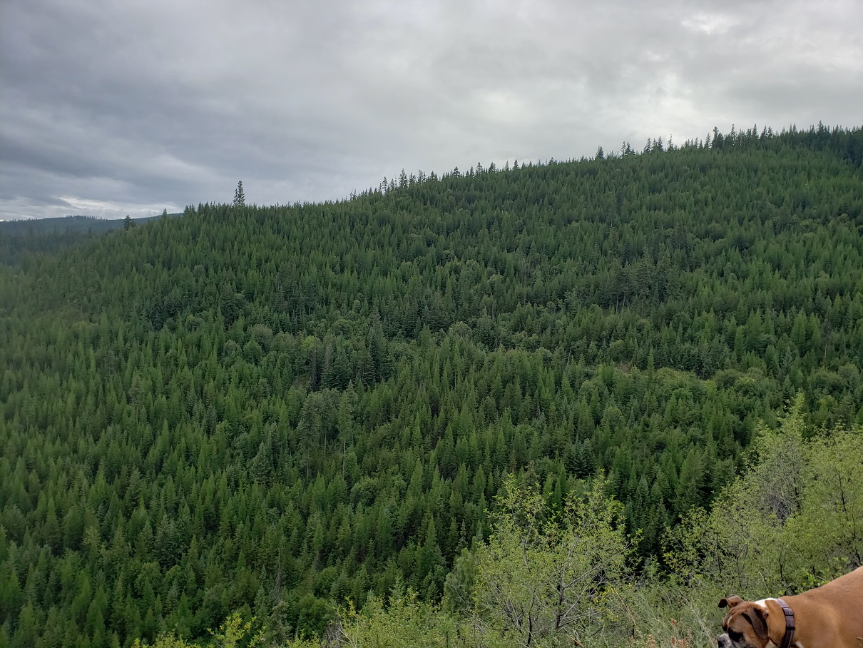 Tract 20 Nine Mile Road