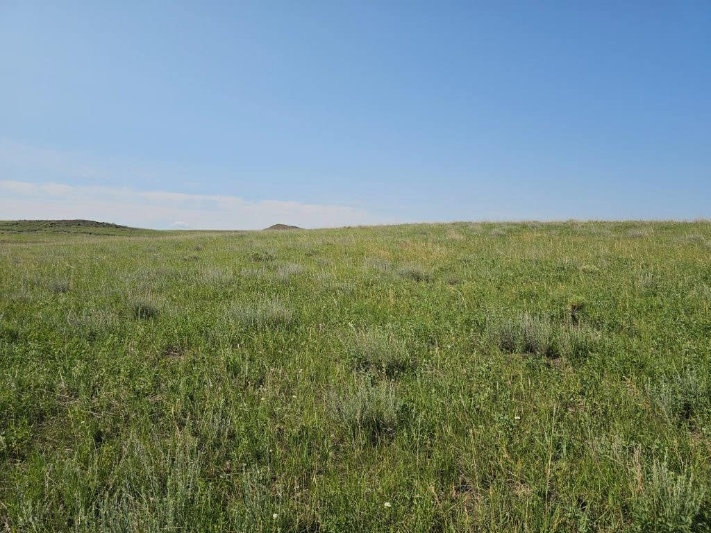 Photo of TBD Elk Creek Road, Winnett, MT 59087 (MLS # 30076686)