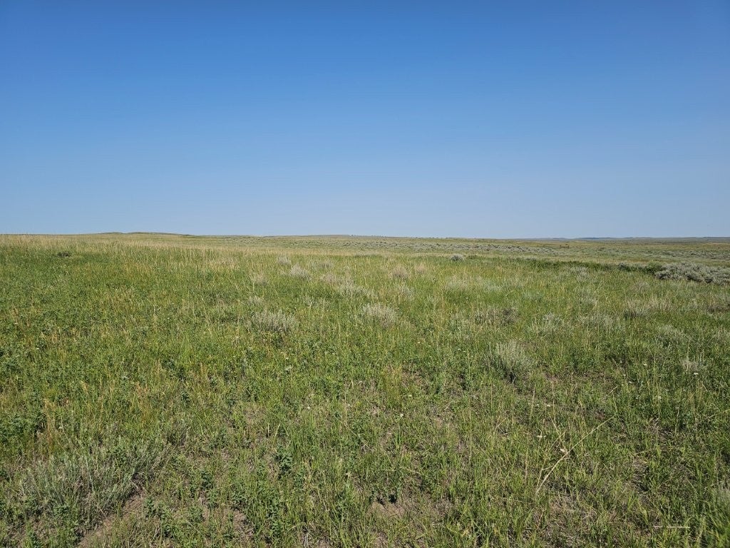 Photo of TBD Elk Creek Road, Winnett, MT 59087 (MLS # 30076686)