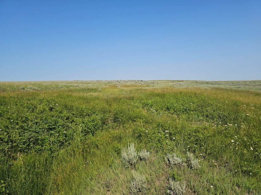 Photo of TBD Elk Creek Road, Winnett, MT 59087 (MLS # 30076686)