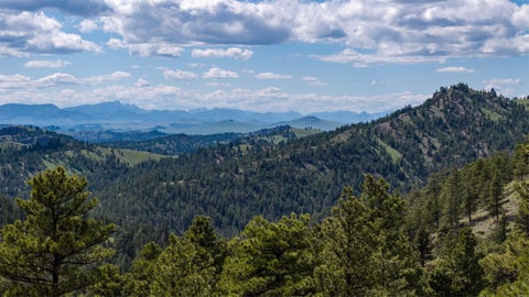 Tiny photo for NHN Bitterroot Ridge Lane, Cascade, MT 59421 (MLS # 30072285)