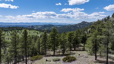 Tiny photo for NHN Bitterroot Ridge Lane, Cascade, MT 59421 (MLS # 30072285)