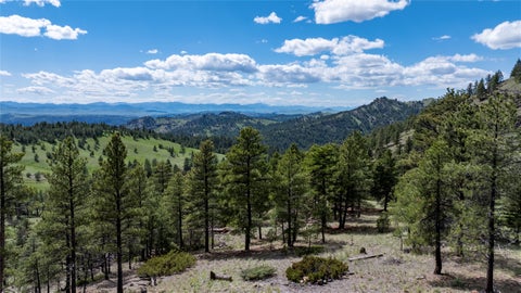 Tiny photo for NHN Bitterroot Ridge Lane, Cascade, MT 59421 (MLS # 30072285)