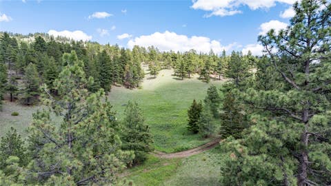 Tiny photo for NHN Bitterroot Ridge Lane, Cascade, MT 59421 (MLS # 30072285)