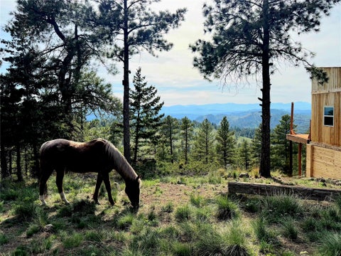 Tiny photo for NHN Bitterroot Ridge Lane, Cascade, MT 59421 (MLS # 30072285)