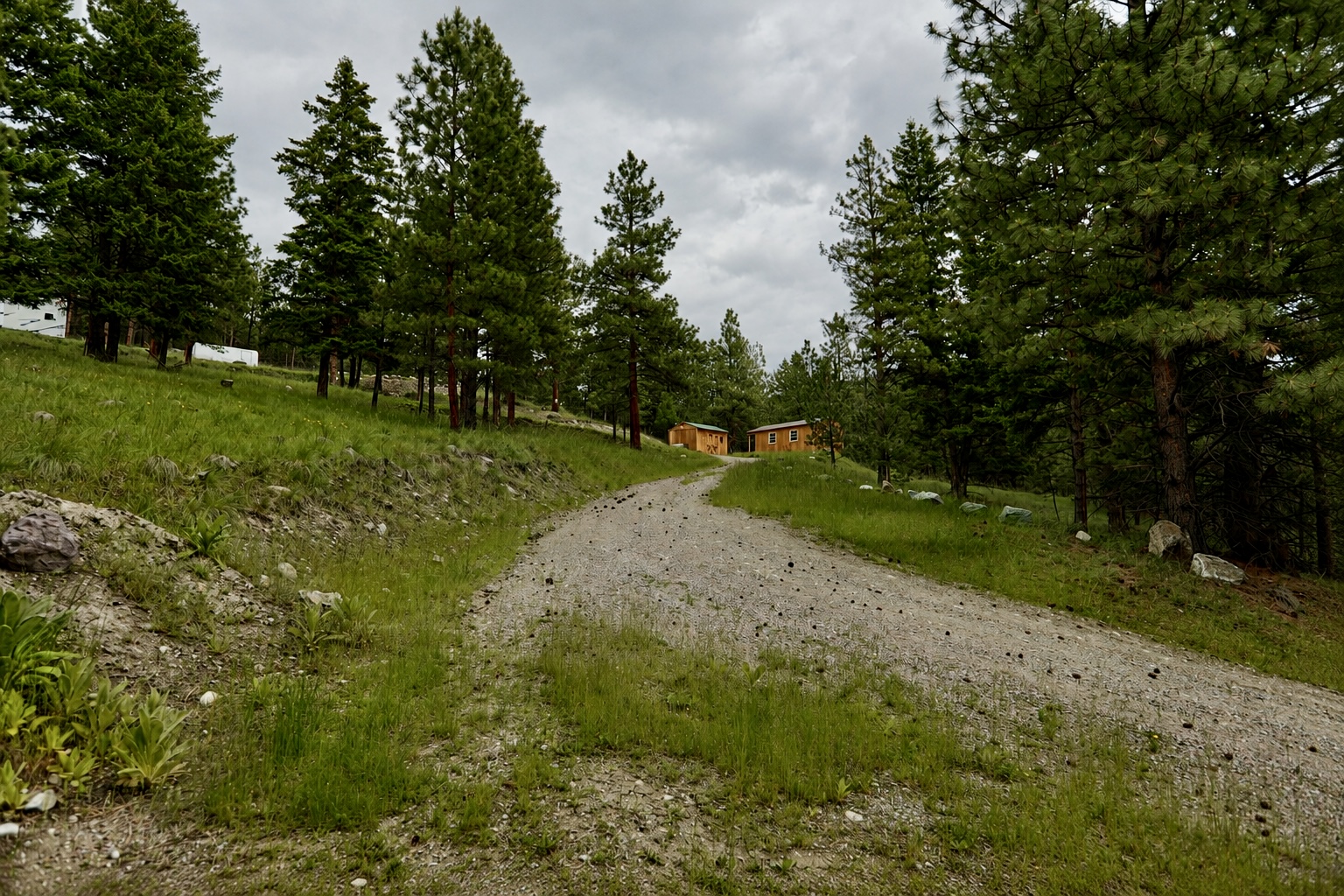 2025 Haywire Gulch