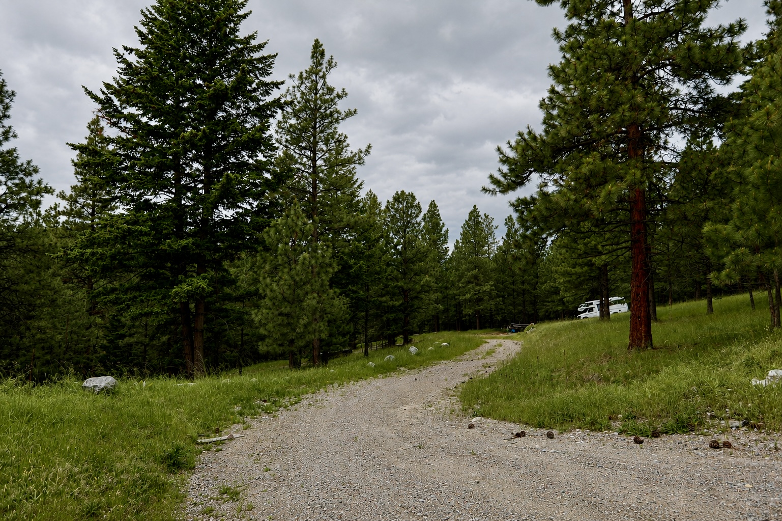 2025 Haywire Gulch