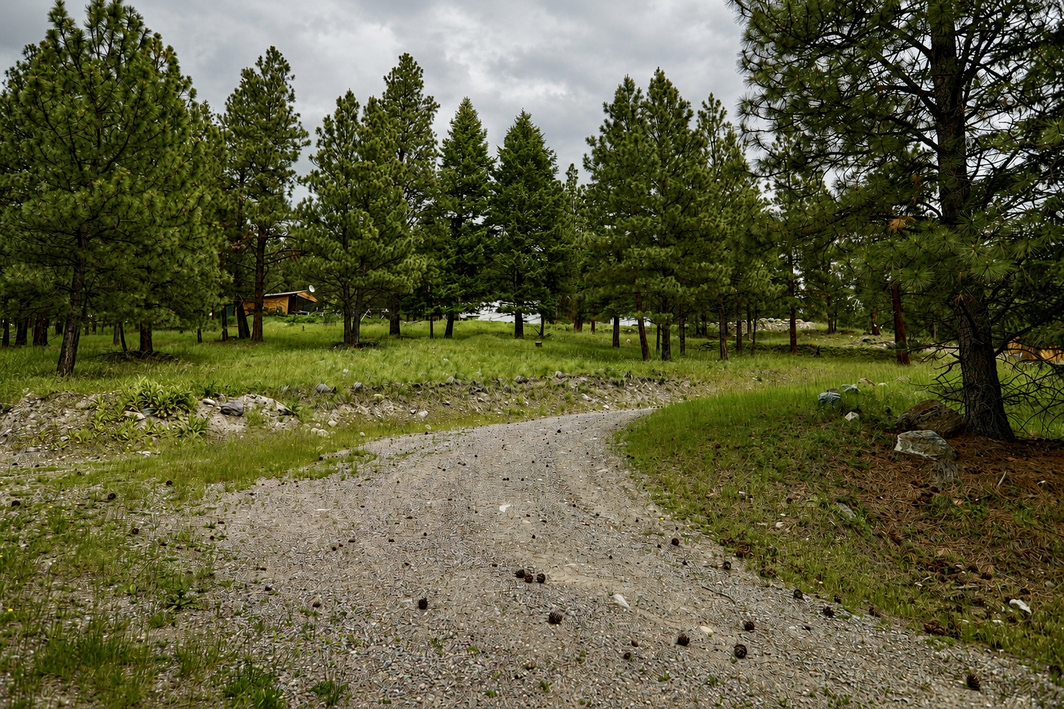 2025 Haywire Gulch