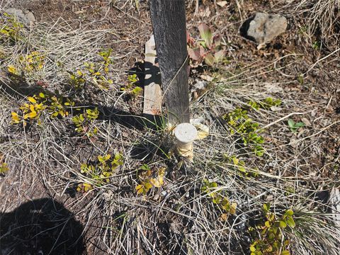 Tiny photo for Tract J Shoot the Moon Lane, Anaconda, MT 59711 (MLS # 30069600)