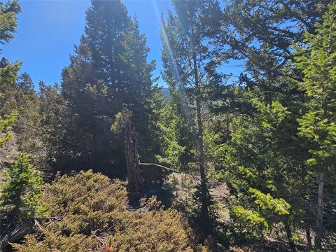 Tiny photo for Tract J Shoot the Moon Lane, Anaconda, MT 59711 (MLS # 30069600)