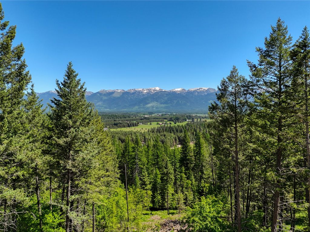 Photo of 615 Swan Hill Drive, Bigfork, MT 59911 (MLS # 30068295)