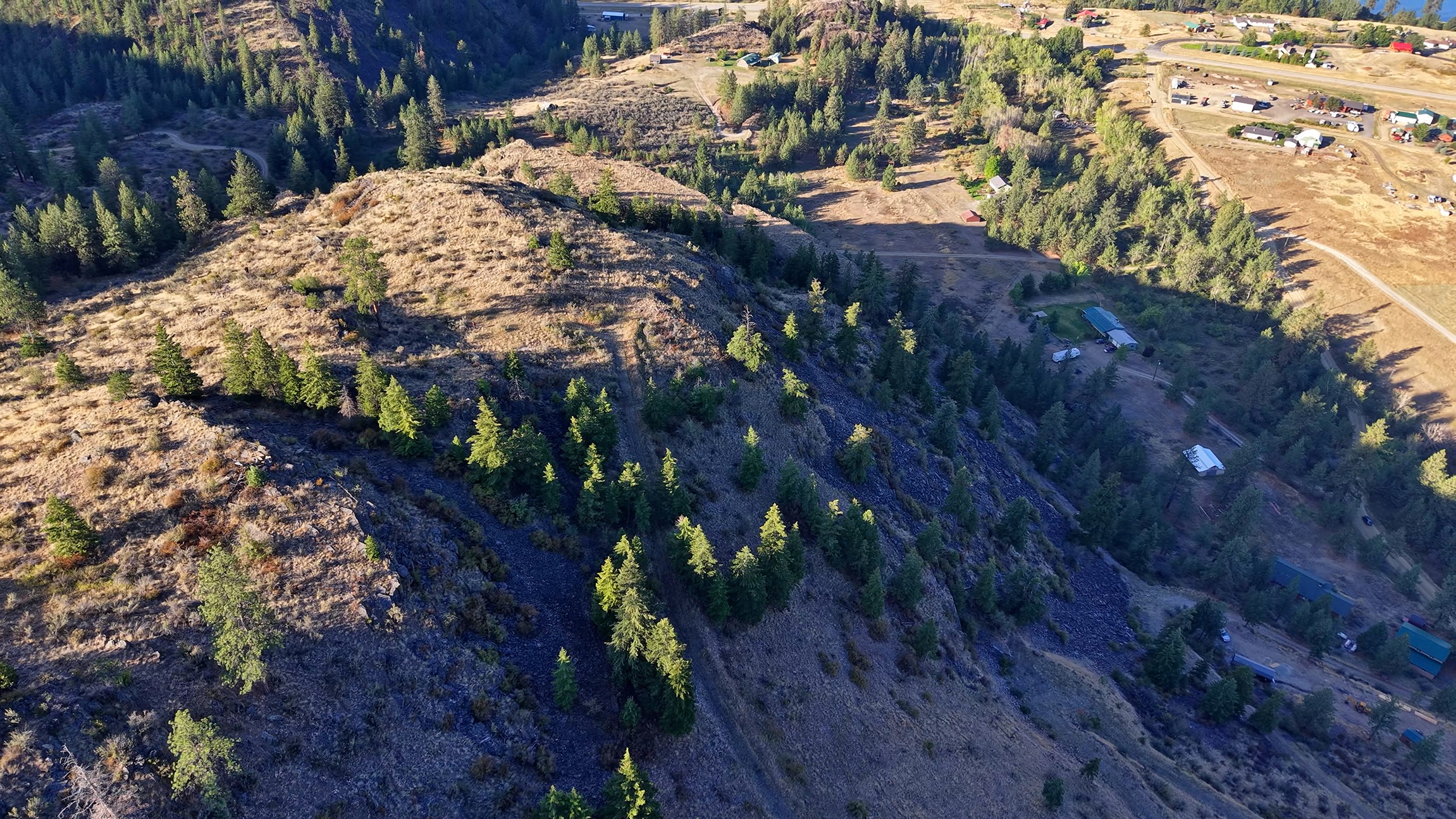 Plains, Montana 59859, United States, ,Land,Active,195954