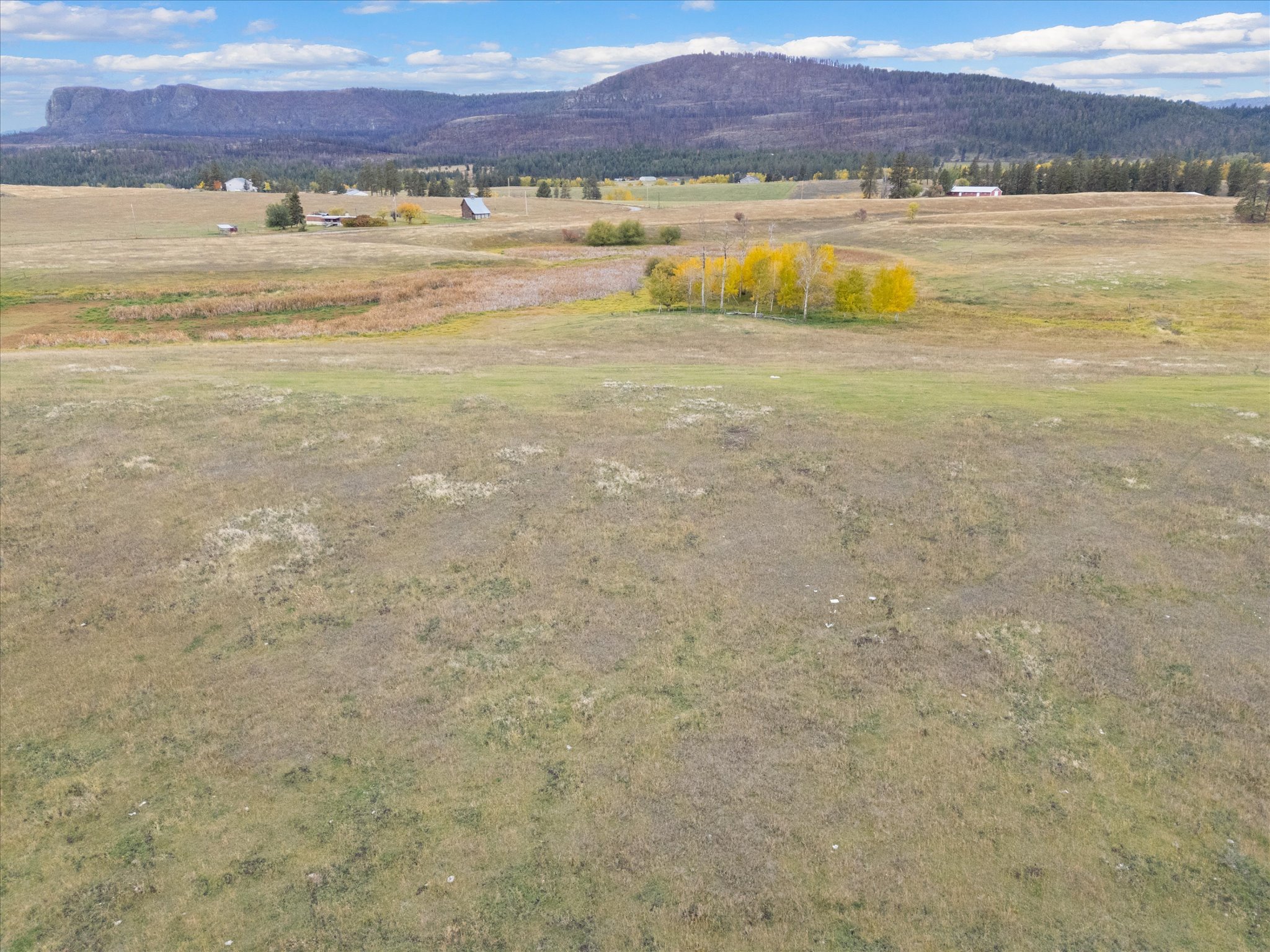 NHN Dayton Creek Road