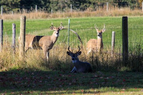 Tiny photo for 62599 Wild Rose Lane, St Ignatius, MT 59865 (MLS # 30069573)