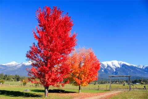 Tiny photo for 62599 Wild Rose Lane, St Ignatius, MT 59865 (MLS # 30069573)