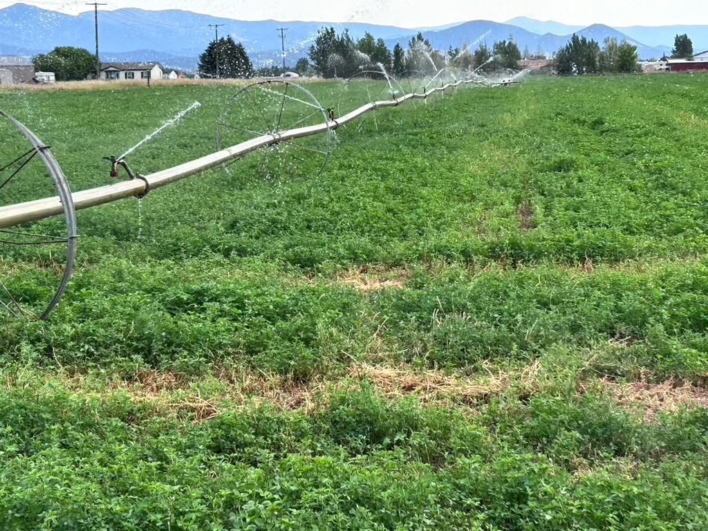 Photo of TBD M Scotty Drive, Helena, MT 59602 (MLS # 30057980)