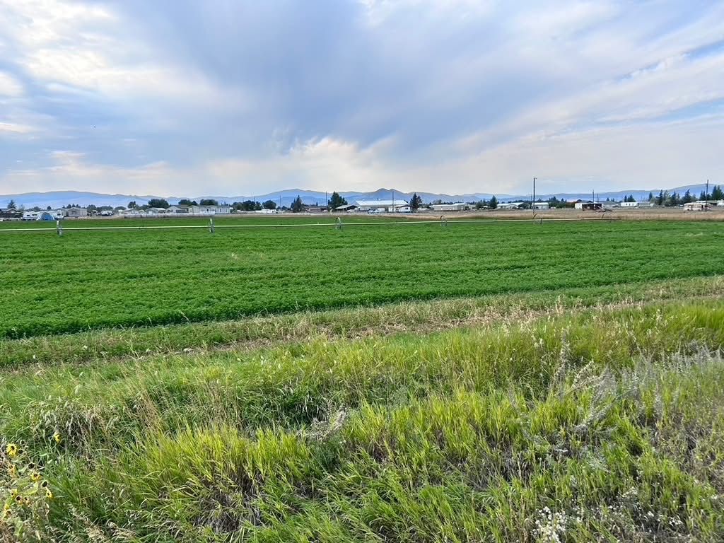 Photo of TBD M Scotty Drive, Helena, MT 59602 (MLS # 30057980)
