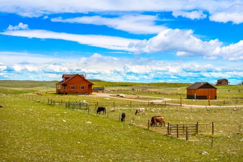 Tiny photo for 7985 N Cottonwood Drive, Augusta, MT 59410 (MLS # 30072766)