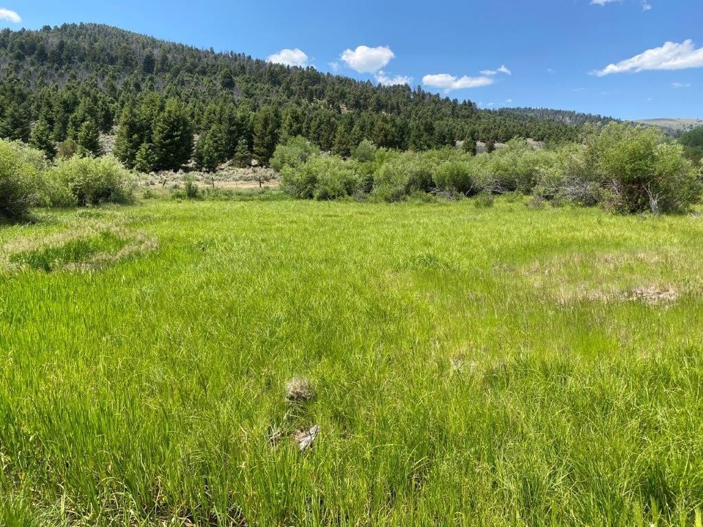 Photo of TBD Camp Creek Road, Butte, MT 59701 (MLS # 30068687)