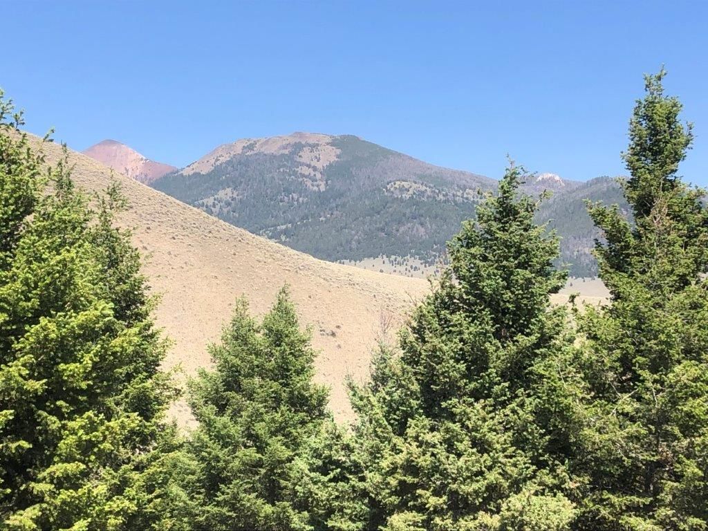 Photo of TBD Camp Creek Road, Butte, MT 59701 (MLS # 30068687)