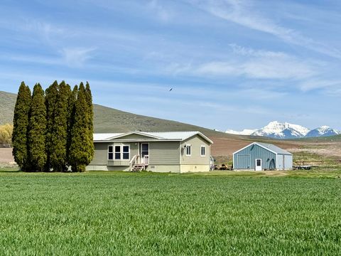 Tiny photo for 57894 Moiese Valley Road, Charlo, MT 59824 (MLS # 30069202)