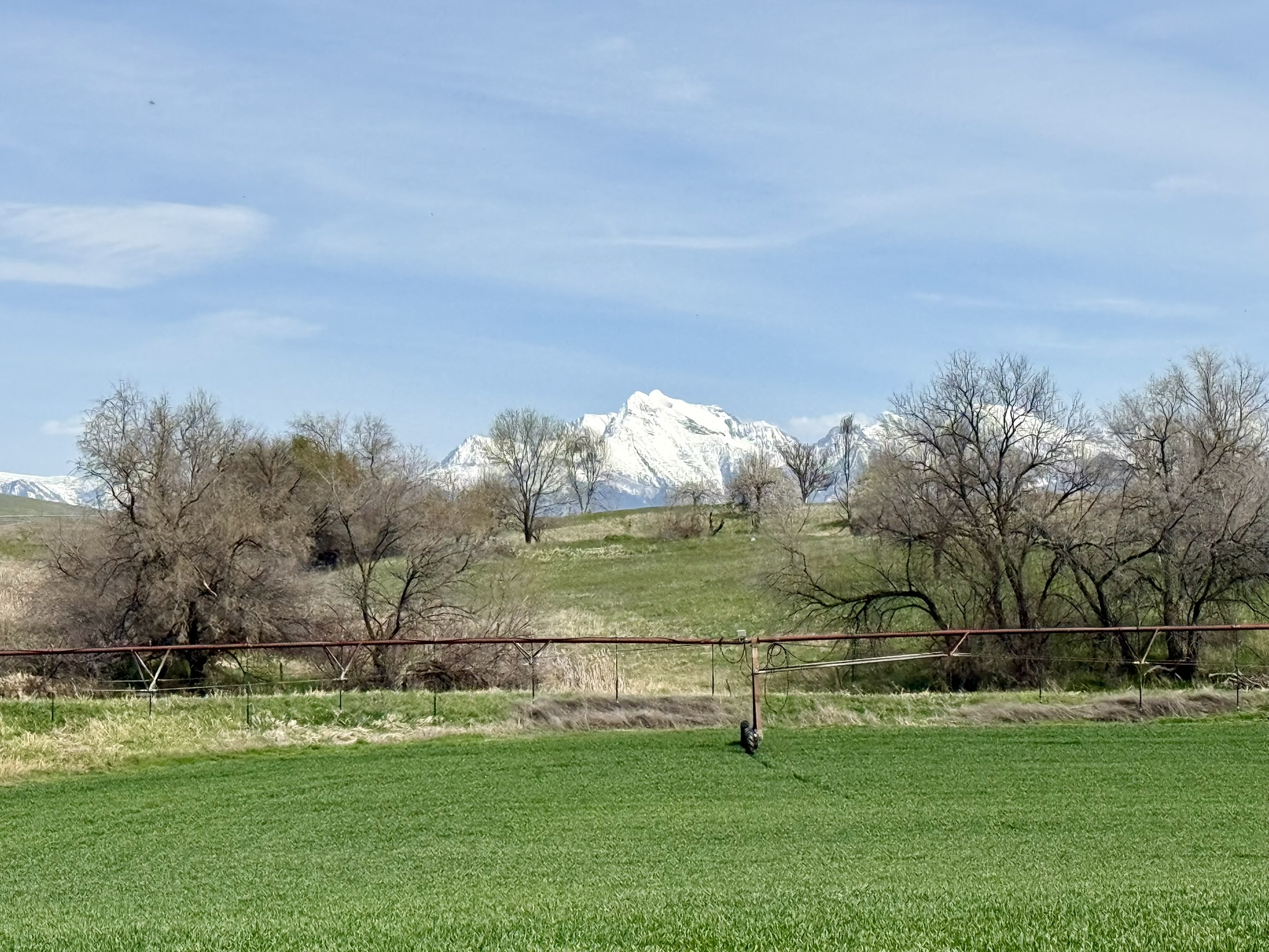 57894 Moiese Valley Road