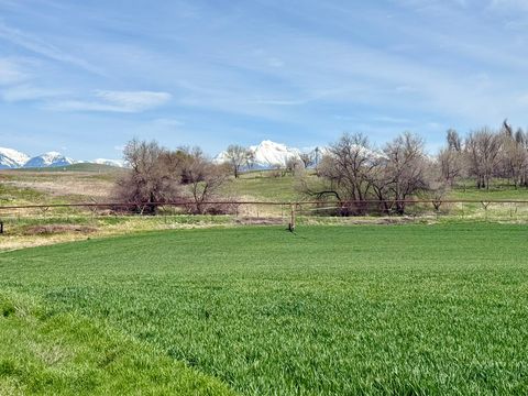 Tiny photo for 57894 Moiese Valley Road, Charlo, MT 59824 (MLS # 30069202)