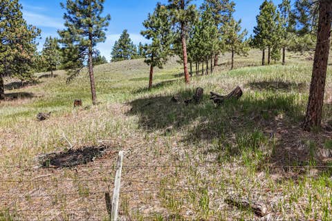 Tiny photo for 6155 Scott Lane, Helena, MT 59602 (MLS # 30072480)