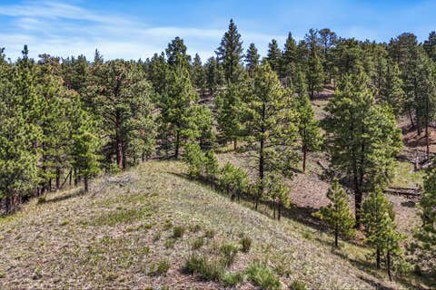 Tiny photo for 6155 Scott Lane, Helena, MT 59602 (MLS # 30072480)
