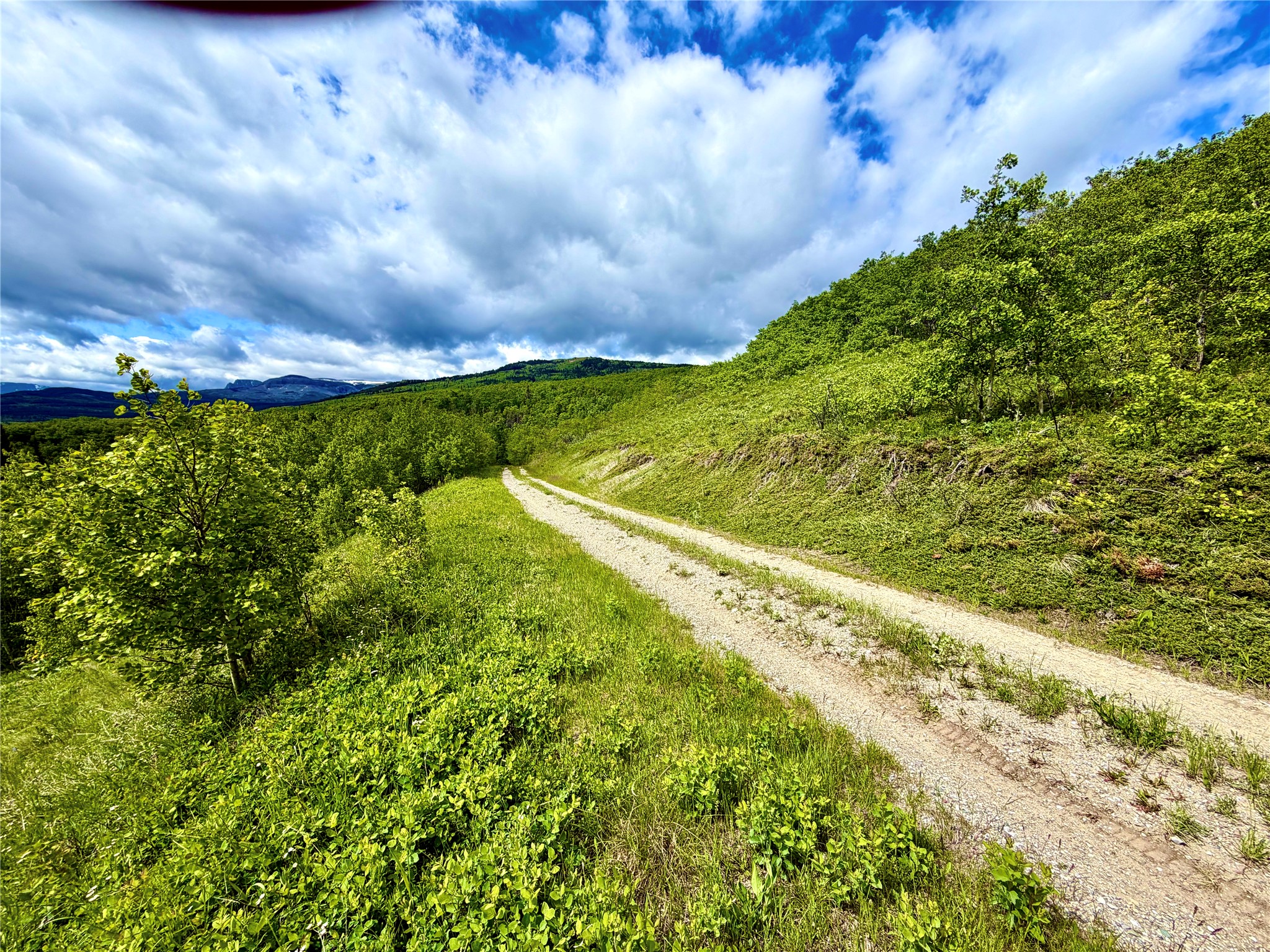 TBD Skyline Drive