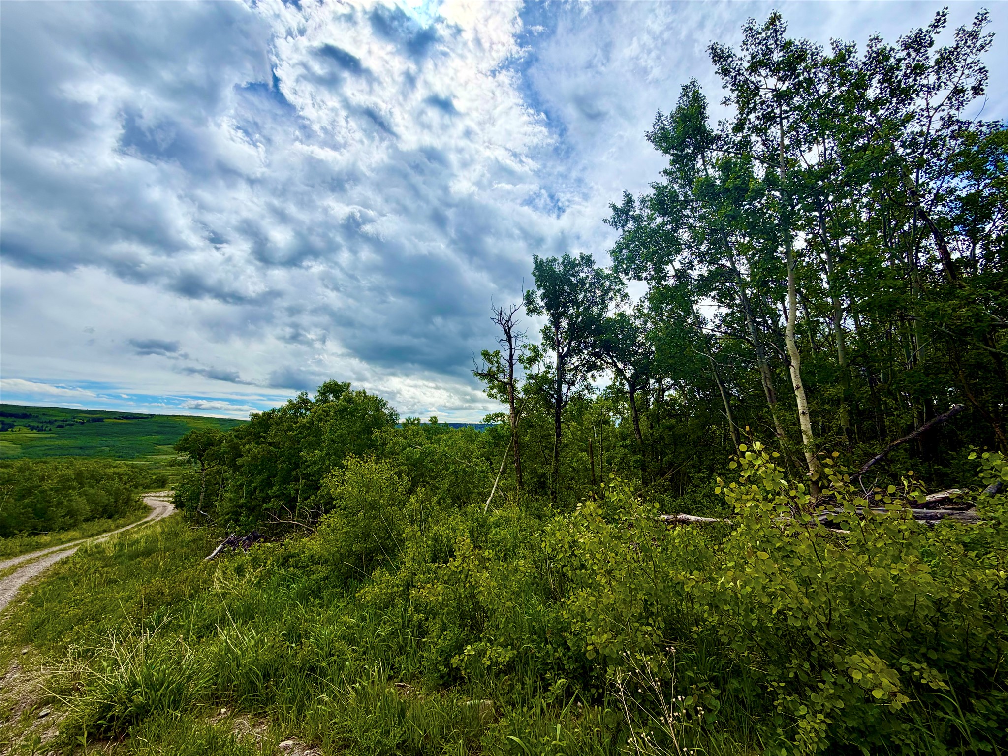 TBD Skyline Drive