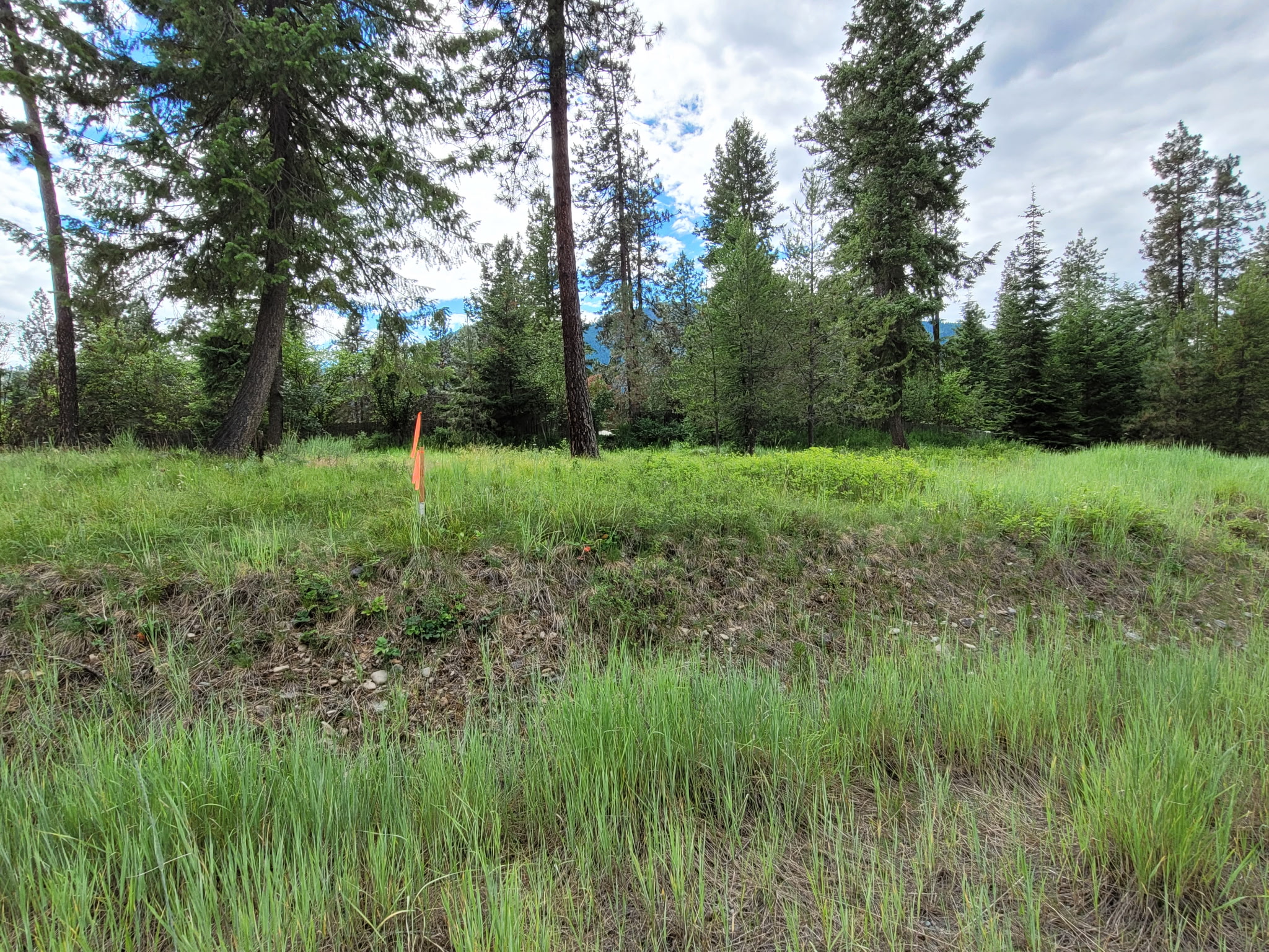 NHN Mossy Rock Court