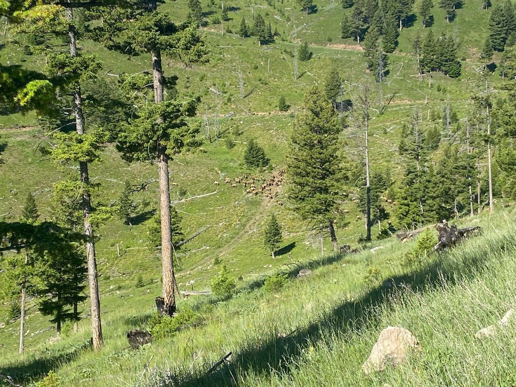 Photo of 216 Cramer Springs Trail, Clinton, MT 59825 (MLS # 30060895)