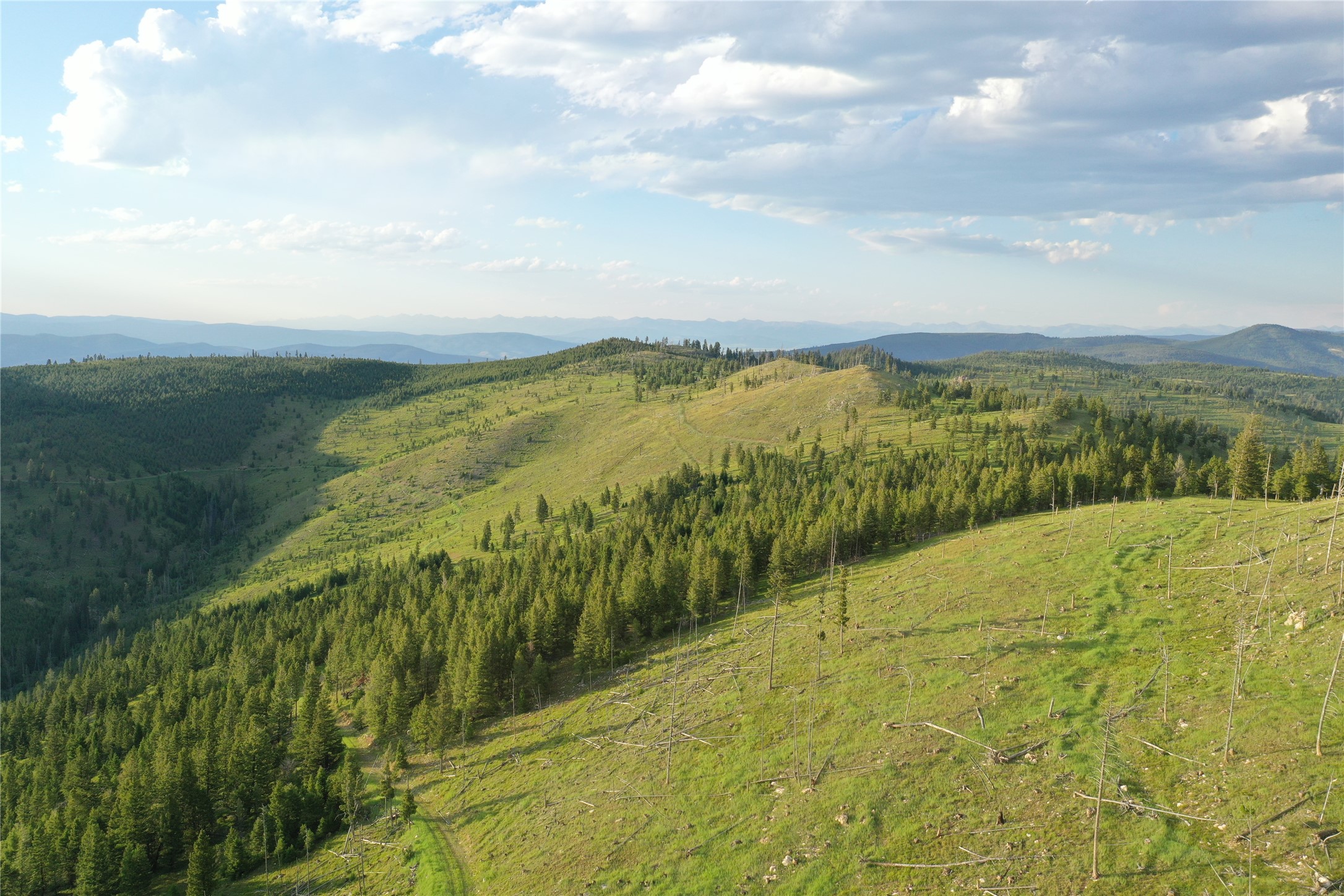 216 Cramer Springs Trail