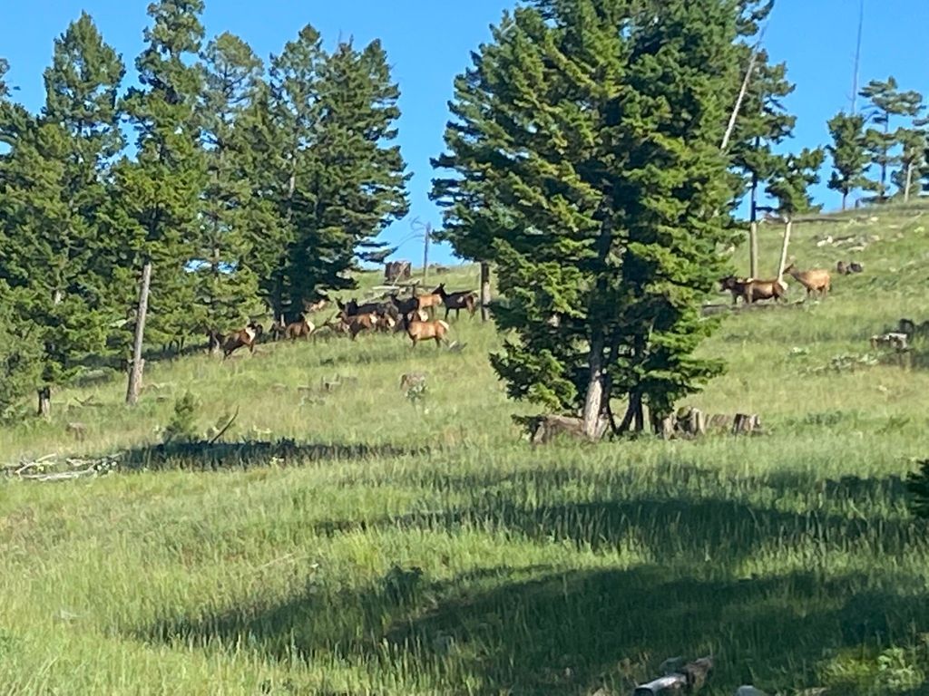 Photo of 216 Cramer Springs Trail, Clinton, MT 59825 (MLS # 30060895)