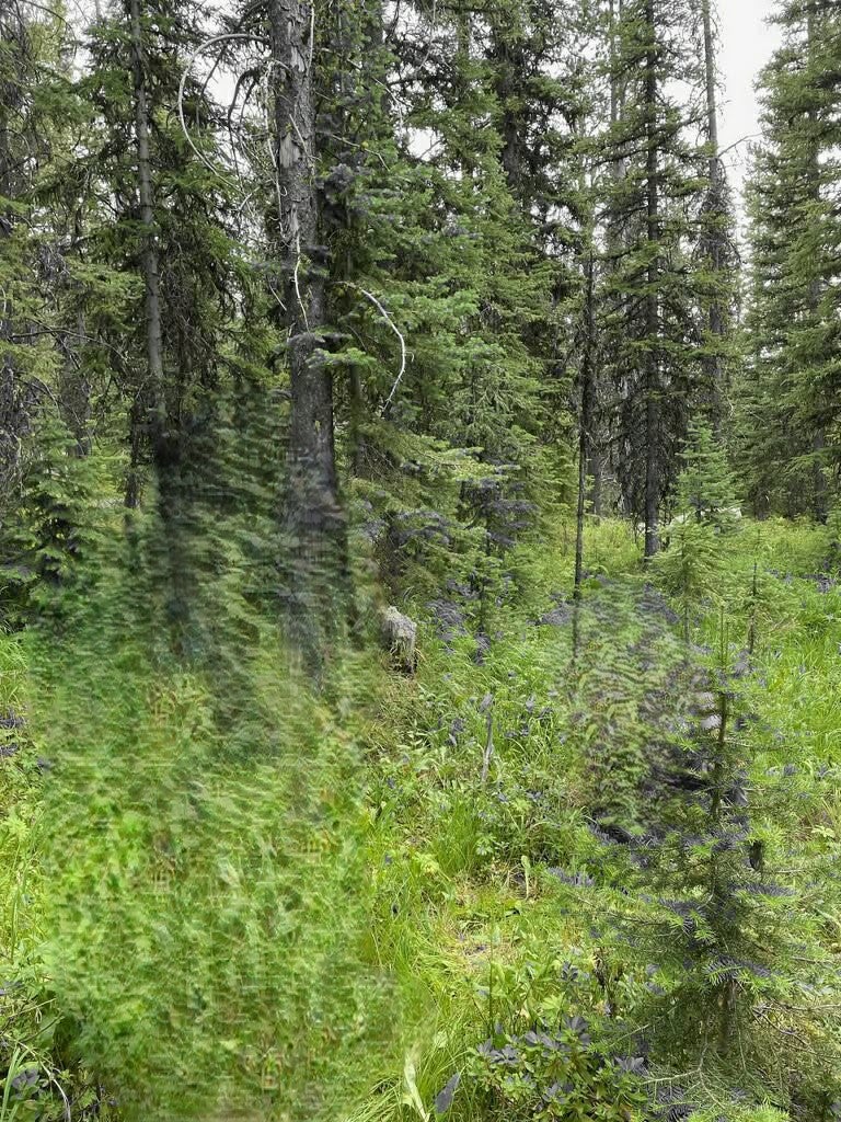NHN Michael Davitt and the KAN lode Granite mining Road