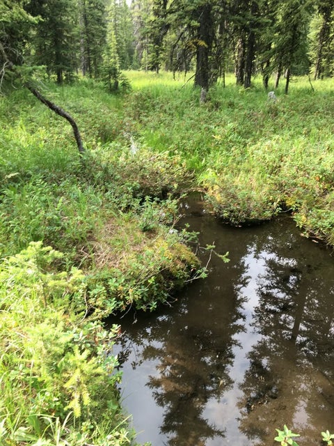 Photo of NHN Michael Davitt and the KAN lode Granite mining Road, Philipsburg, MT 59858 (MLS # 30076496)