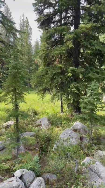 NHN Michael Davitt and the KAN lode Granite mining Road