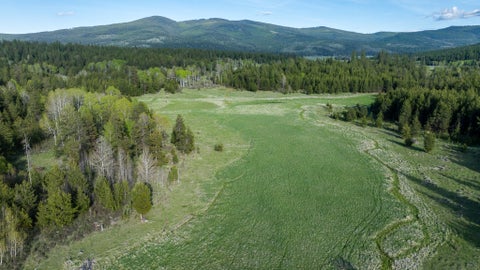 Tiny photo for 3180 Browns Meadow Road, Kila, MT 59920 (MLS # 30071777)