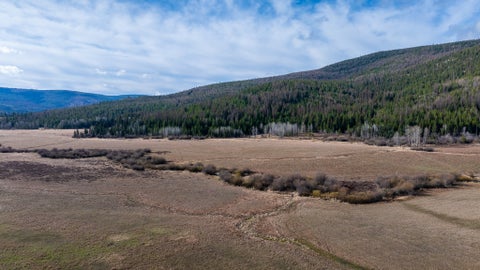 Tiny photo for 3180 Browns Meadow Road, Kila, MT 59920 (MLS # 30071777)