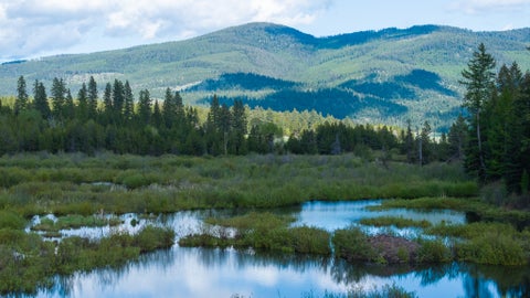 Tiny photo for 3180 Browns Meadow Road, Kila, MT 59920 (MLS # 30071777)