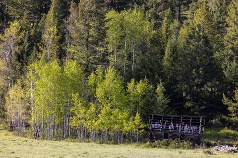 Tiny photo for 3180 Browns Meadow Road, Kila, MT 59920 (MLS # 30071777)