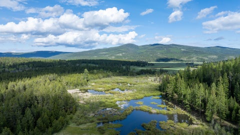 Tiny photo for 3180 Browns Meadow Road, Kila, MT 59920 (MLS # 30071777)