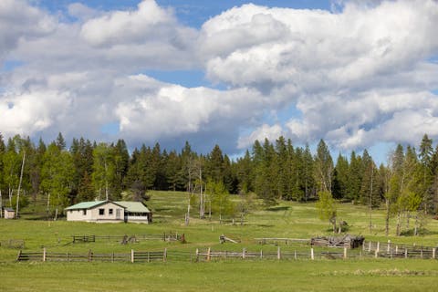 Tiny photo for 3180 Browns Meadow Road, Kila, MT 59920 (MLS # 30071777)