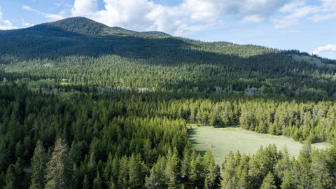 Tiny photo for 3180 Browns Meadow Road, Kila, MT 59920 (MLS # 30071777)